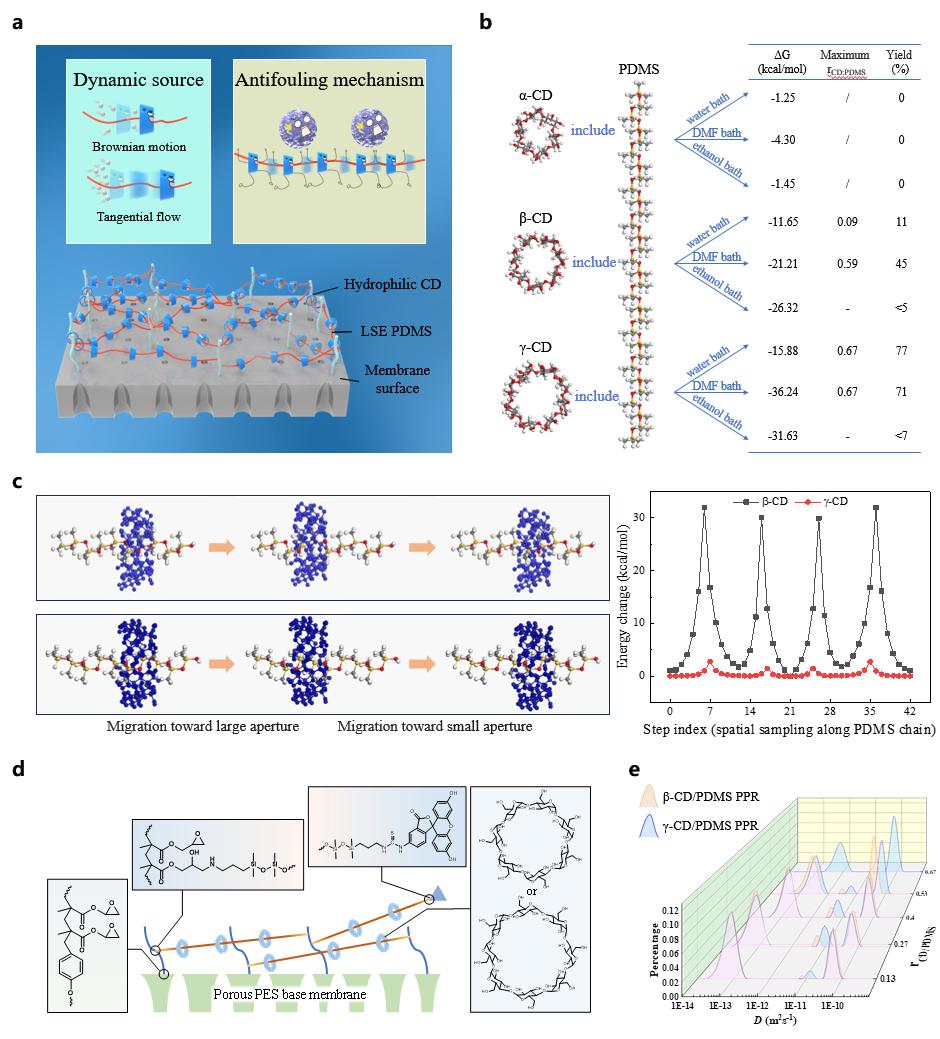 超分子結(jié)構(gòu)與動態(tài)性模擬、表征